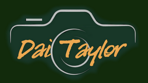 London Photographer Dai Taylor