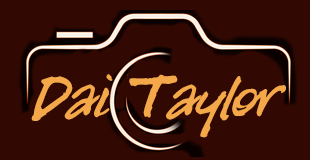 London Photographer Dai Taylor 